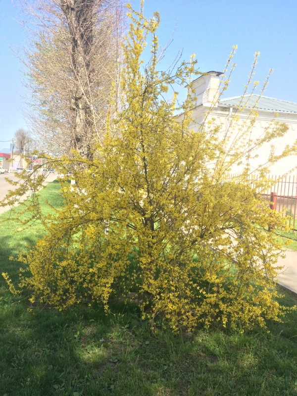 Изображение 003