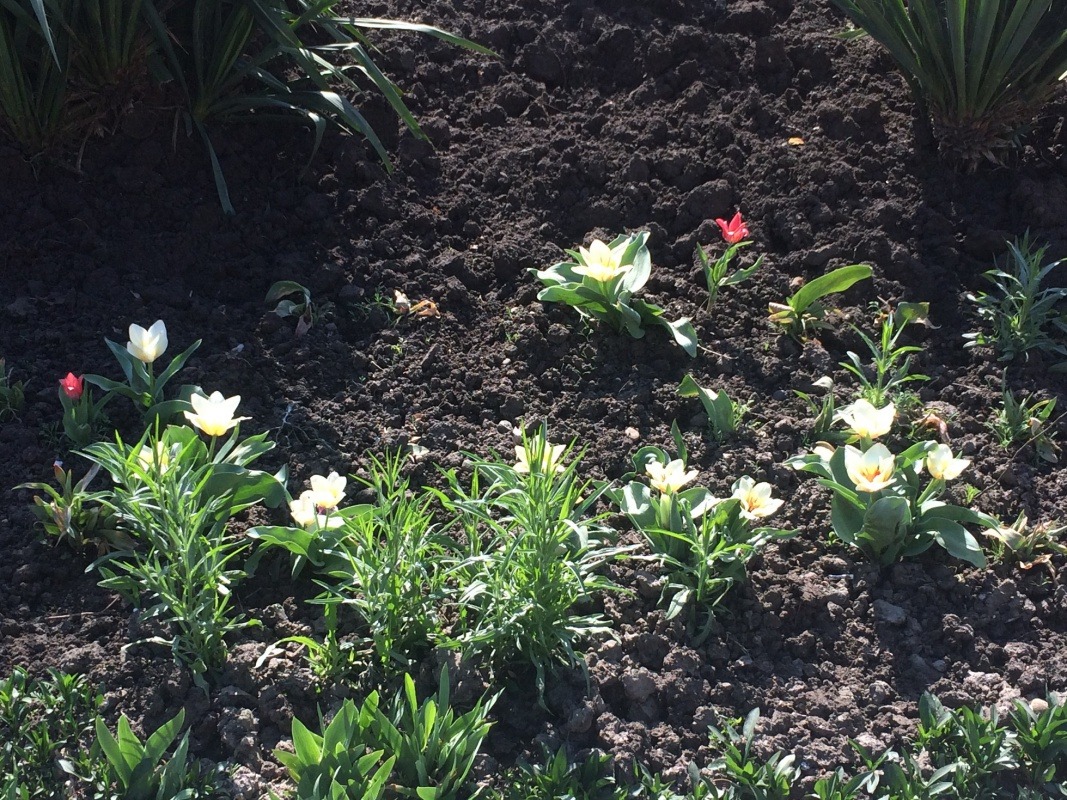 Изображение 045