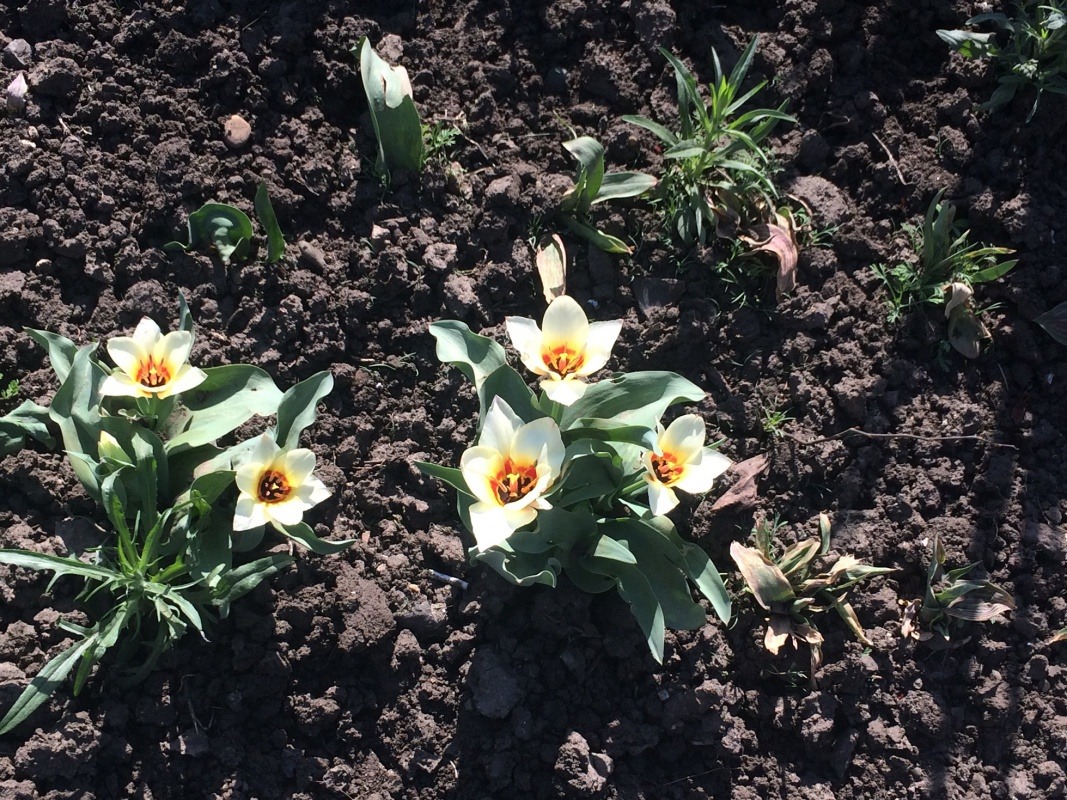 Изображение 040