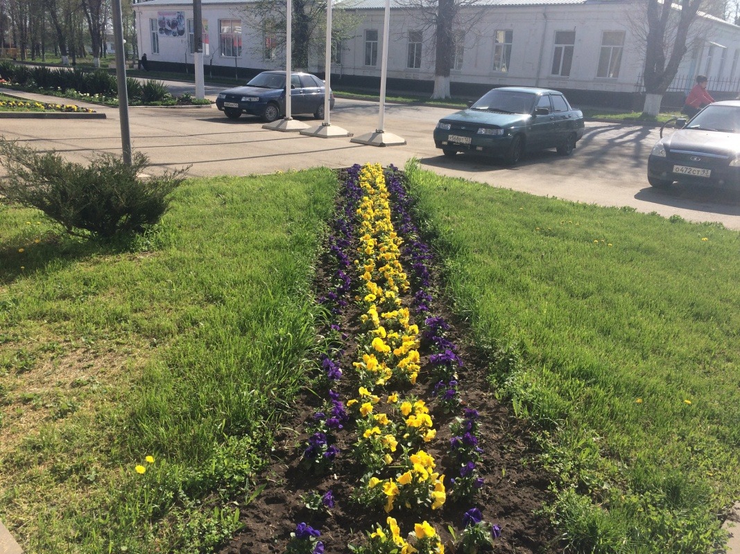 Изображение 023