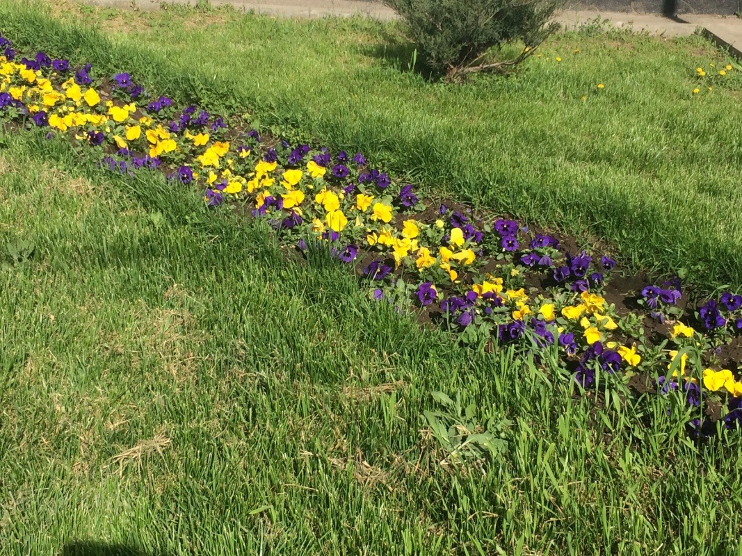 Изображение 027