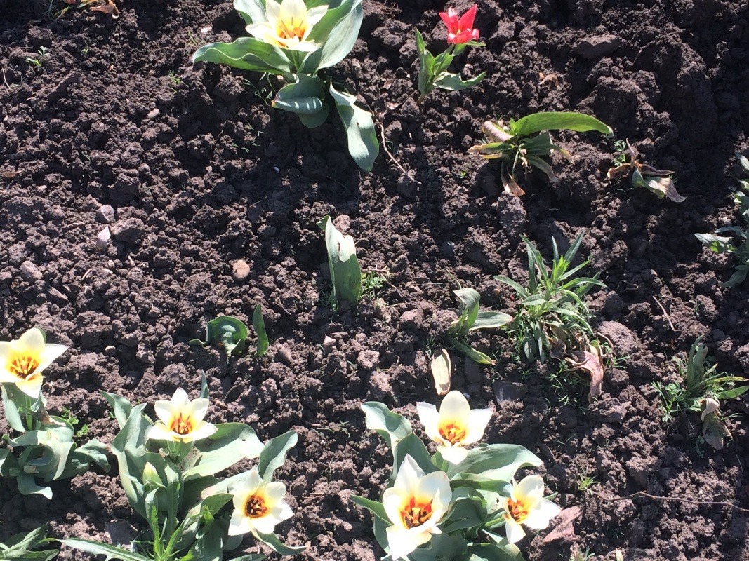 Изображение 039