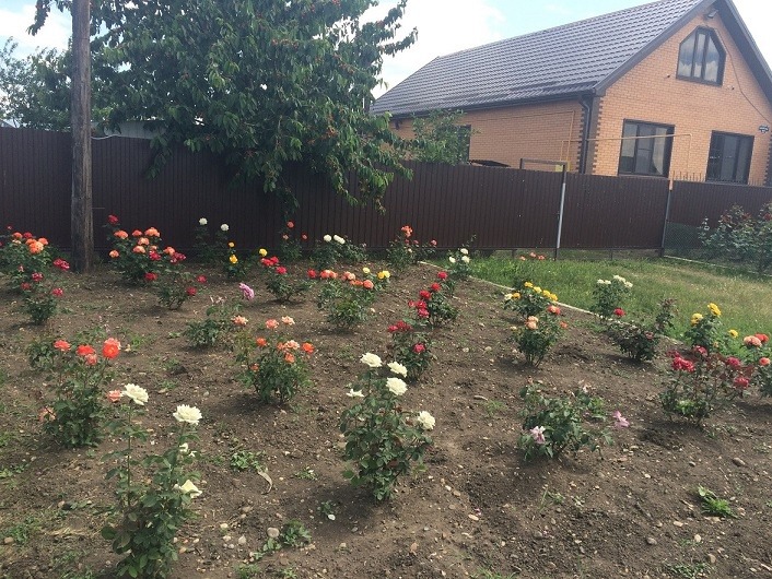 DBB6AA18-024A-4640-B7D7-A6B57E75BA7C