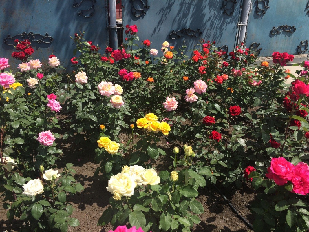 5FB2F955-9578-49EE-94F4-97C409D8ABC8