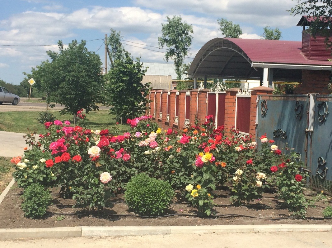 C1653020-7145-4A42-ABB6-6FD391E01A2D