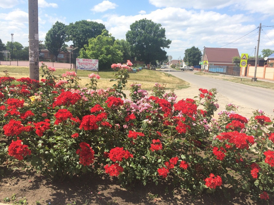 1BE5A695-27D1-4C73-90BD-1006764FD8BC