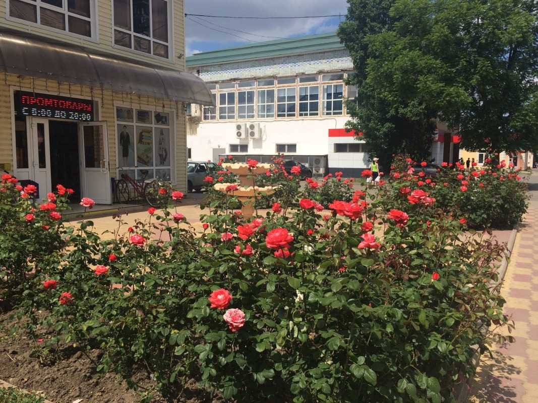 BC26ECAE-C233-41A1-8612-868696631964