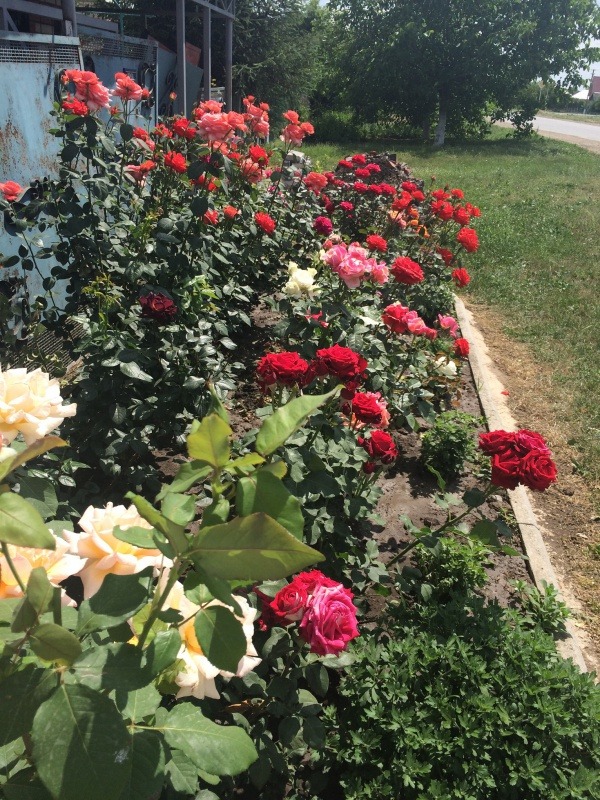 0D1FF651-5B76-45F4-866E-5183347E1F37