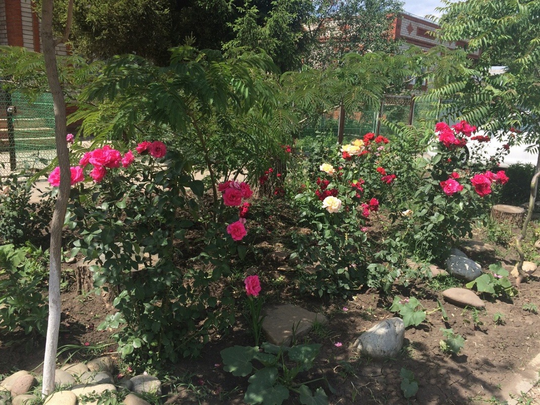 EA458CF4-4D4D-4287-9ECF-F78134EB1FC8