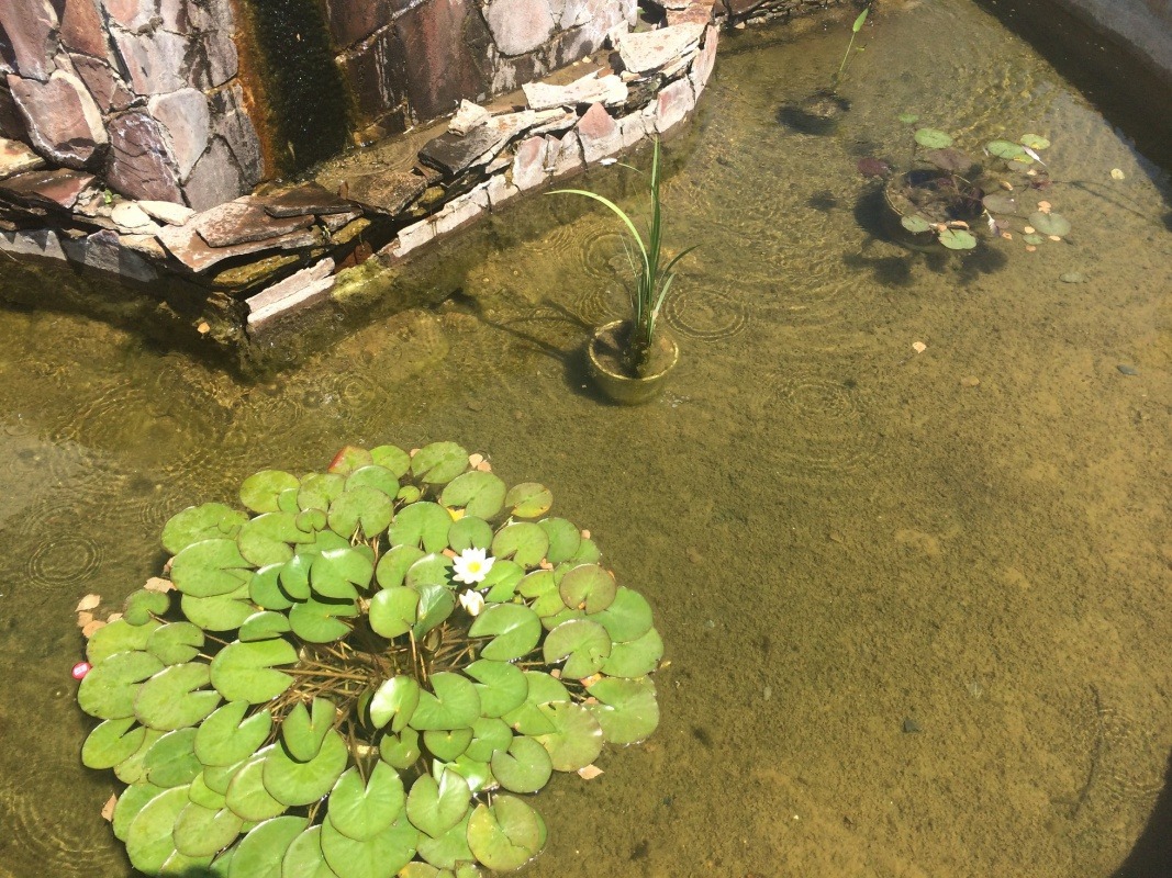 10A853E5-A70E-45D2-8730-4539417D8DFF