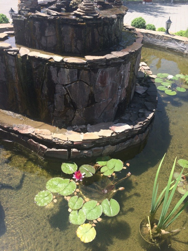 FF139062-B1AF-4297-B0BD-19CB7198CA99