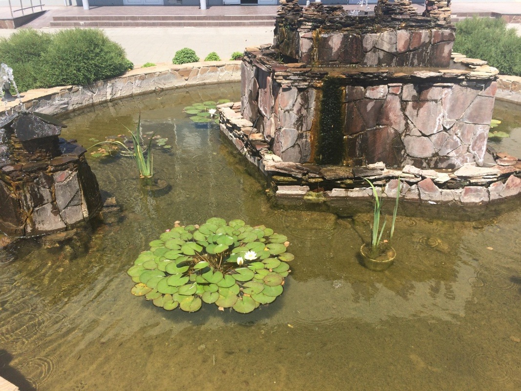 30EE7FA3-8E57-40F4-B950-E6BCACFEABDD