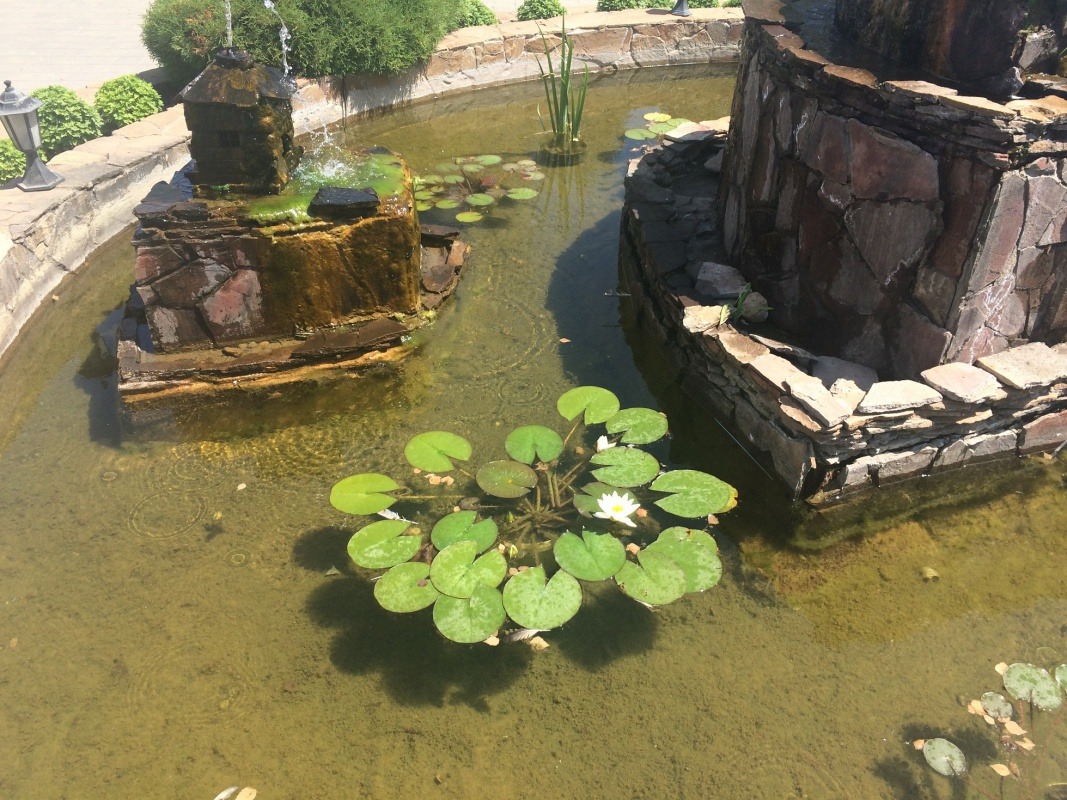 3AAEA6ED-CECC-41A2-9D27-889141EE786E (1)