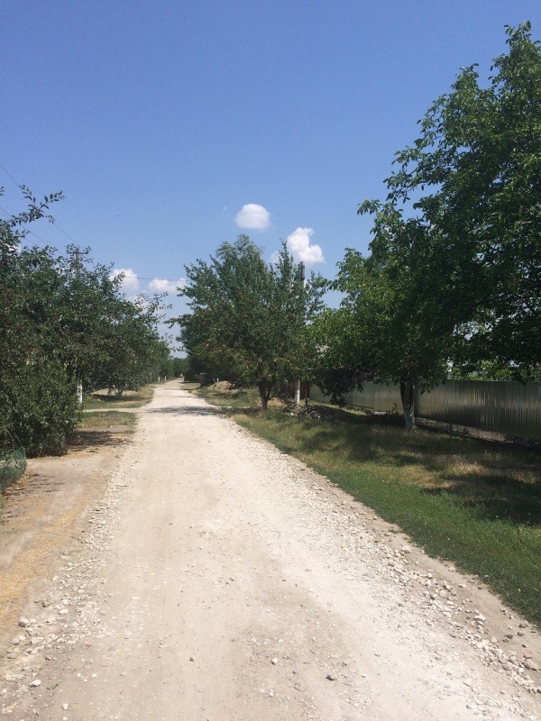 4333F8A6-15AE-462C-BEF3-CF4D4C2CE745