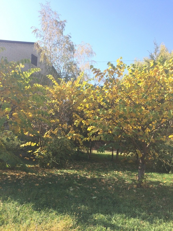 0D71DEC5-1EA3-41FC-9B16-51D15FC6AB4D