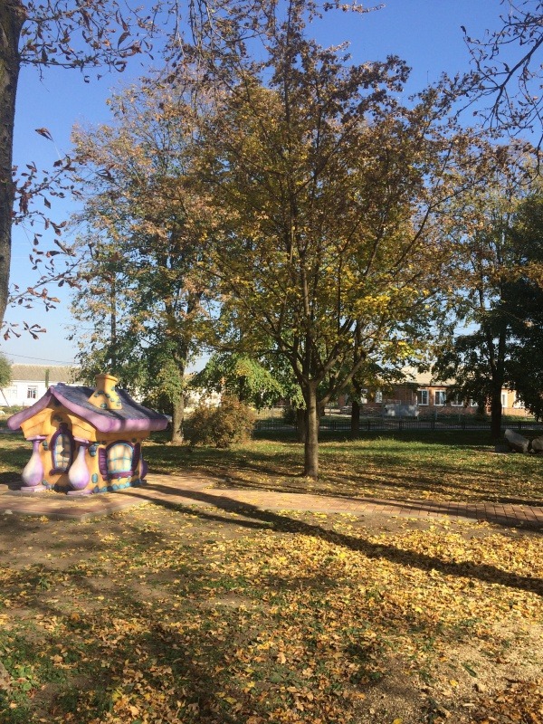 092FA333-2055-4E8D-8D3C-5439699CF090