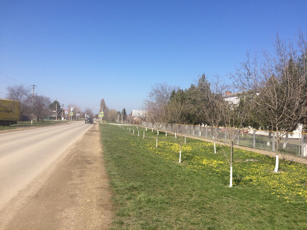 52867950-C76E-4B99-9AE0-0699BF9F2604