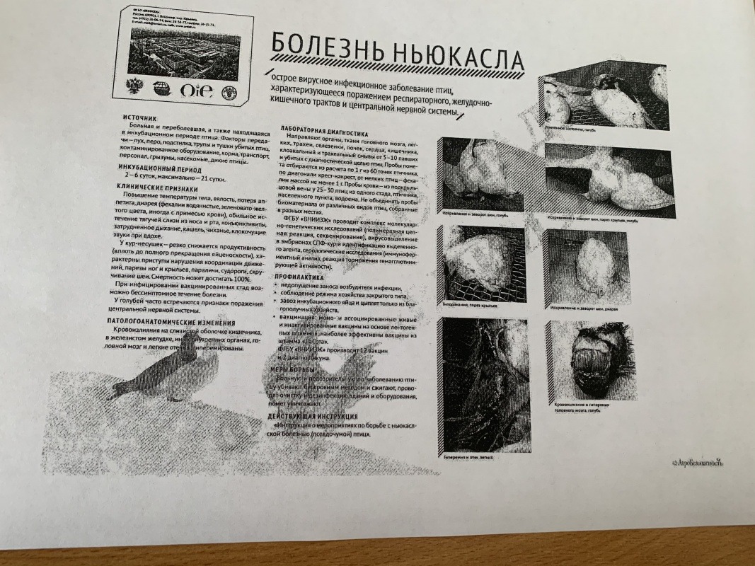 1751BDC2-13F2-45E5-8608-B56A5732A691