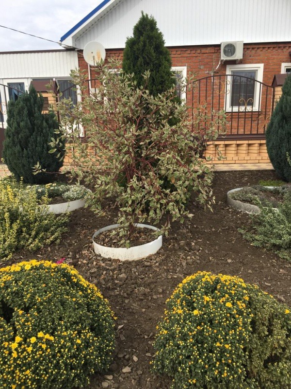 5A036D86-C769-40E2-9F93-C908C9A7CD0F