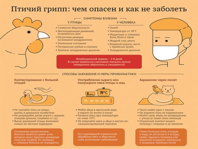 птичий грипп