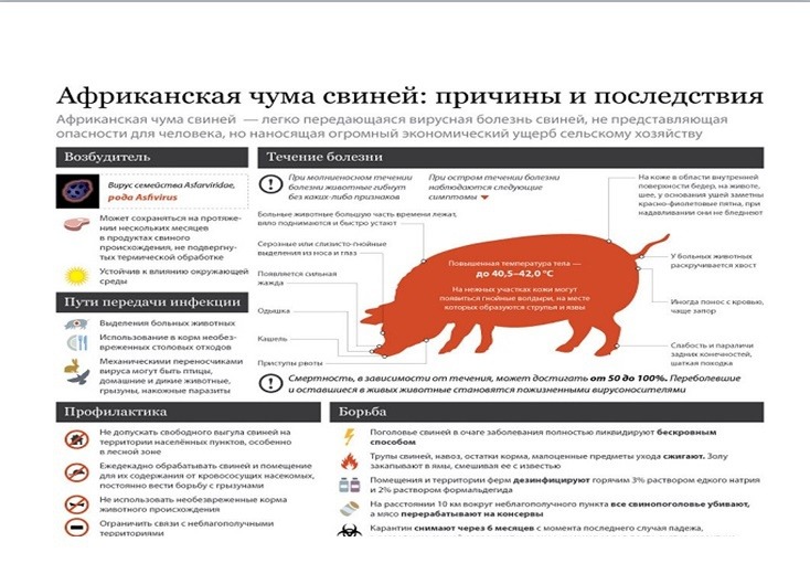 5d8dc2d3bb5da0daf330558e416bc019