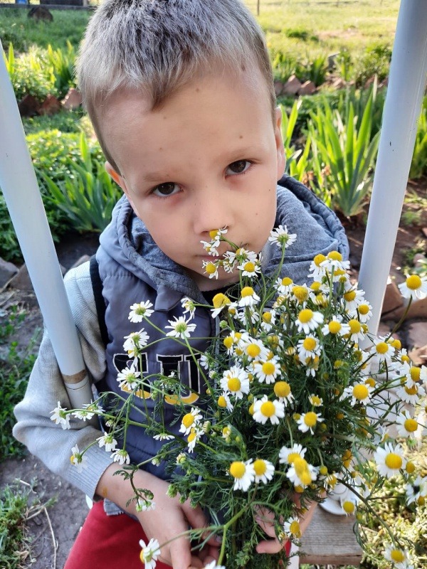 WhatsApp Image 2020-05-28 at 16.25.45 (2)