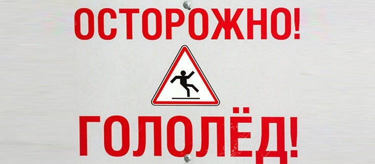 2019012432523-750x328