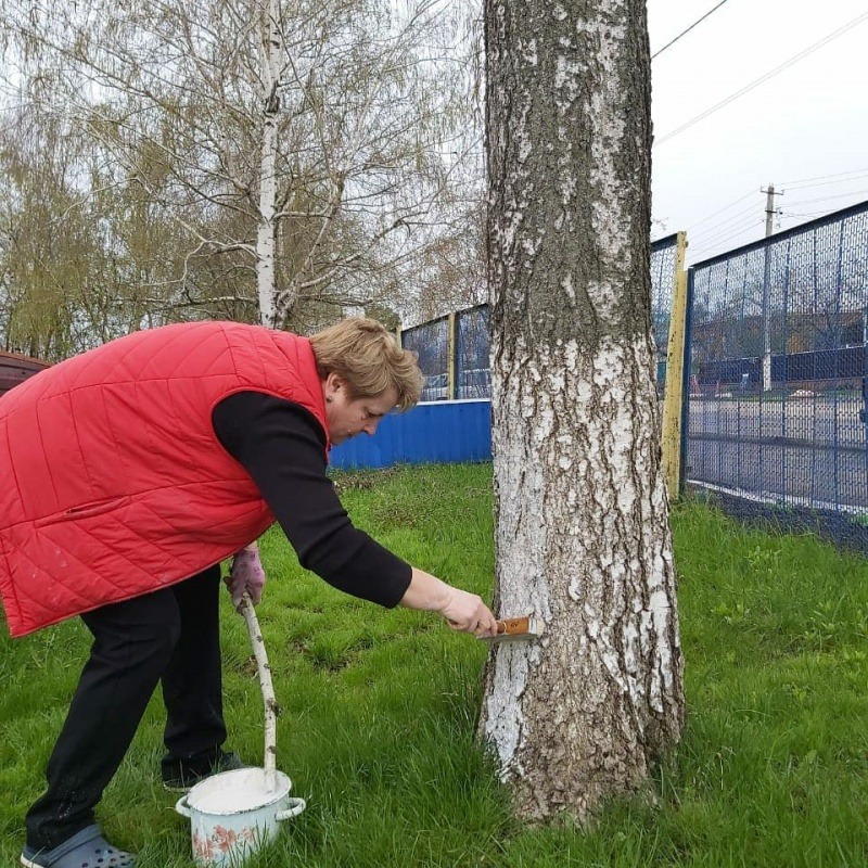 IMG_20210423_160609_916