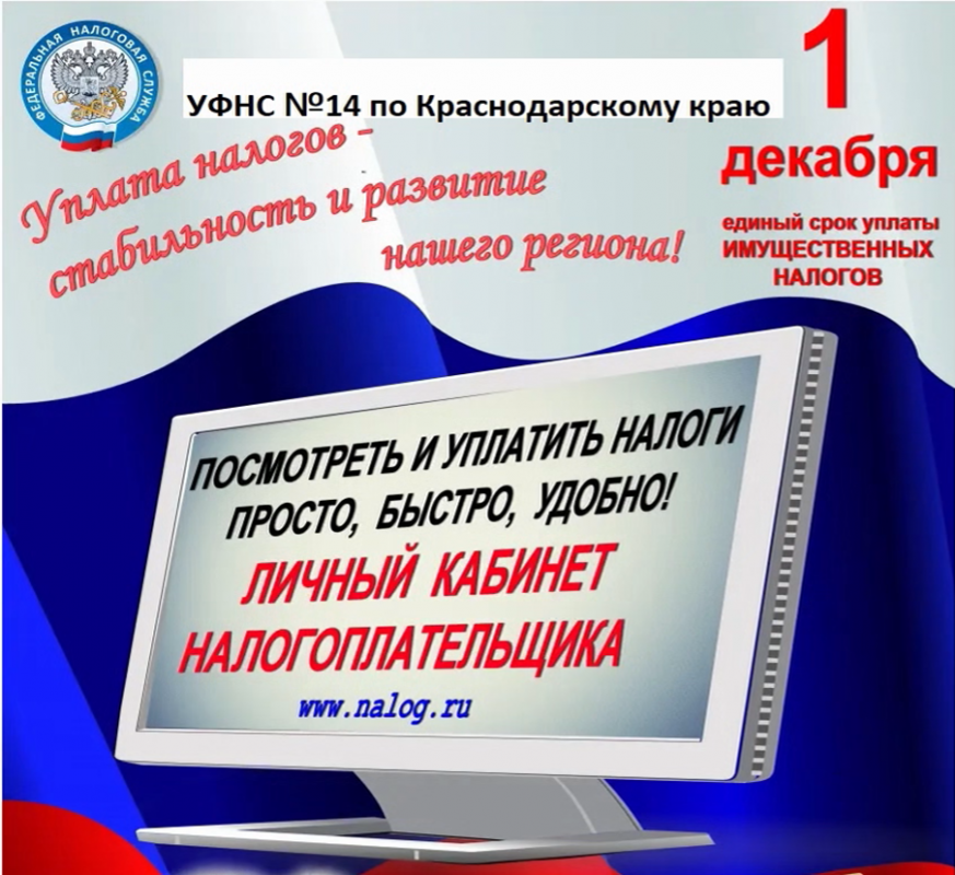 загруженное (1)