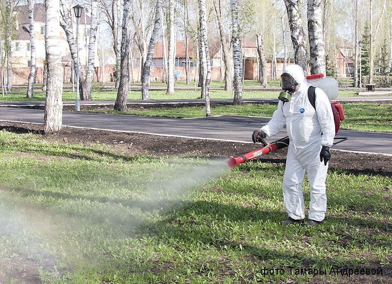 Обработка от клещей