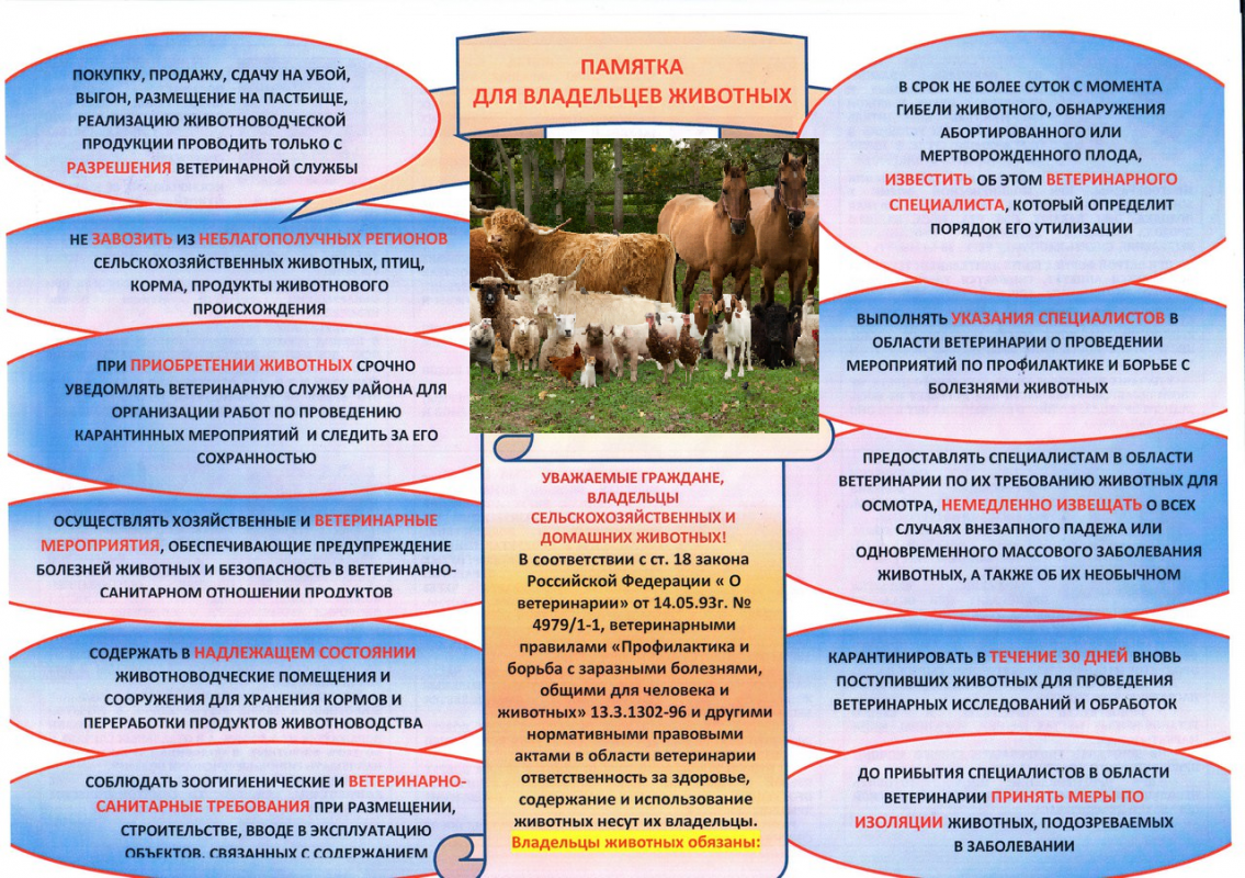 Pamyatka_vladel_tsam_zhivotnyh