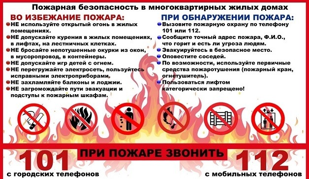 WhatsApp-Image-2024-01-24-at-11.09.01-2