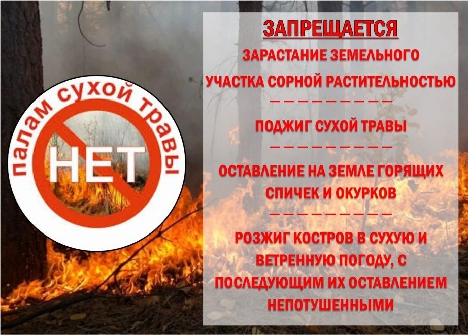 15.06.2026г.