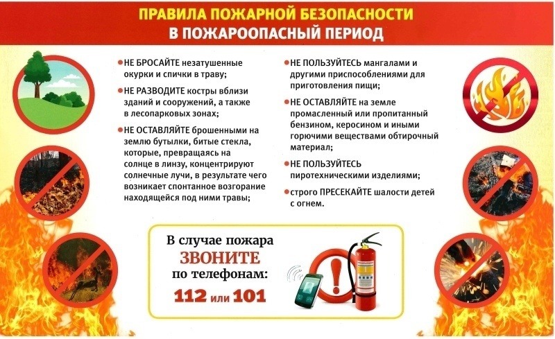 29.06.2026г.