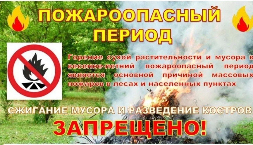 1785746897528