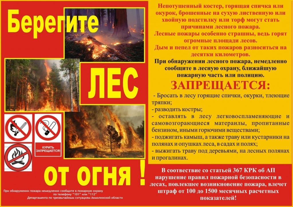 210716_150718_pamyatka-les