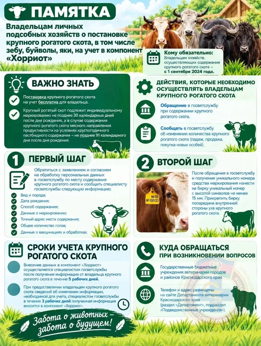 Памятка по регистрации в компоненте Хорриотпо!!!