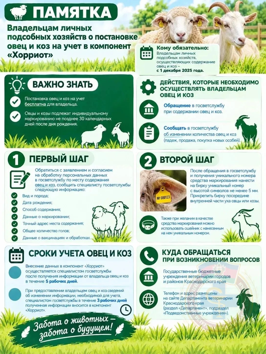 Памятка по регистрации в компоненте Хорриотпо!!!