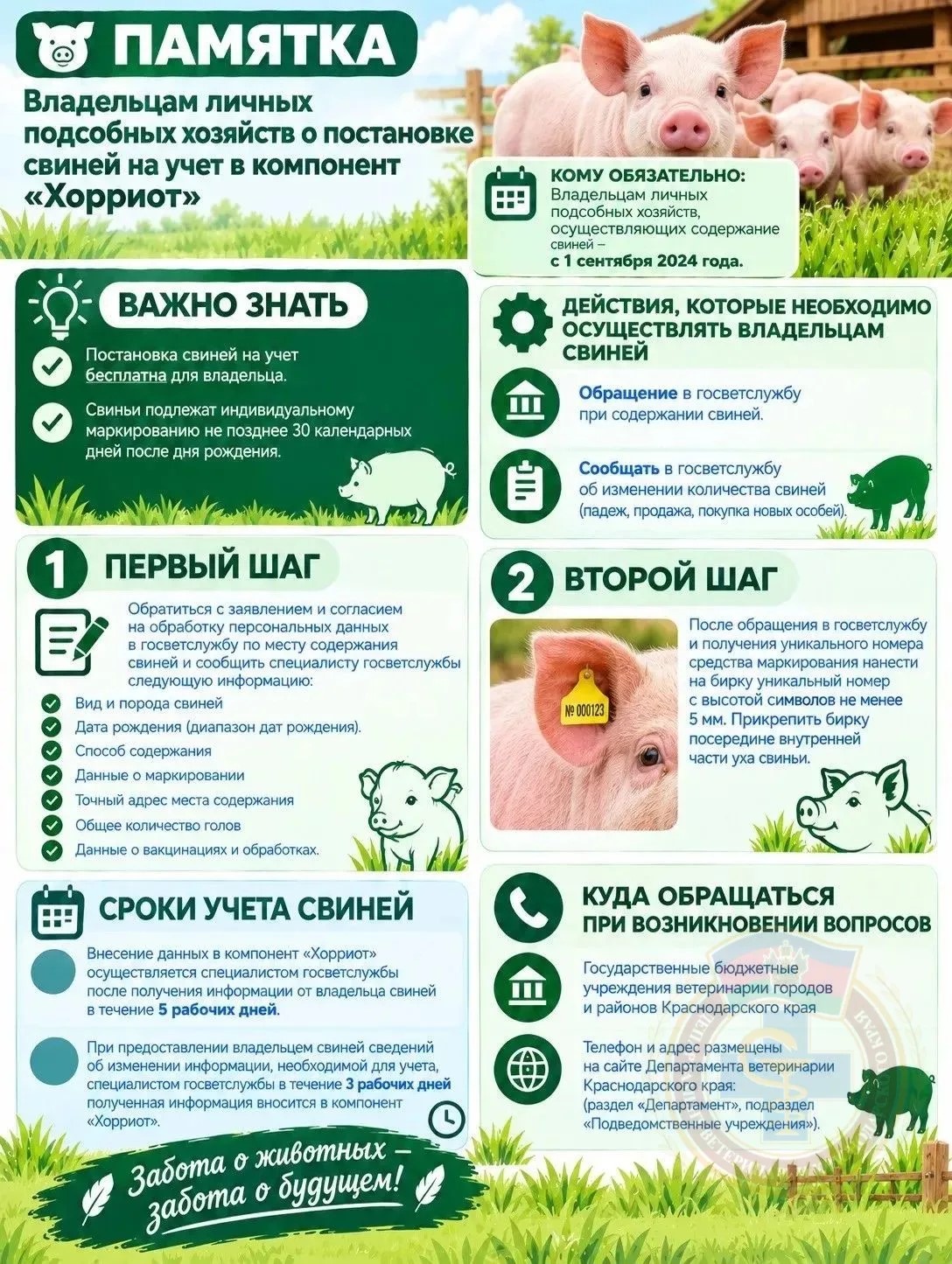 Памятка по регистрации в компоненте Хорриотпо!!!