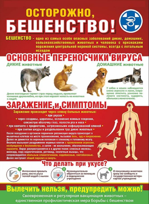 ВНИМАНИЕ!!!