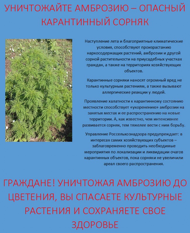 Внимание....