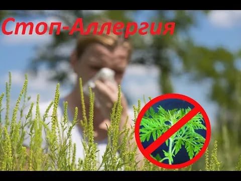 Внимание....