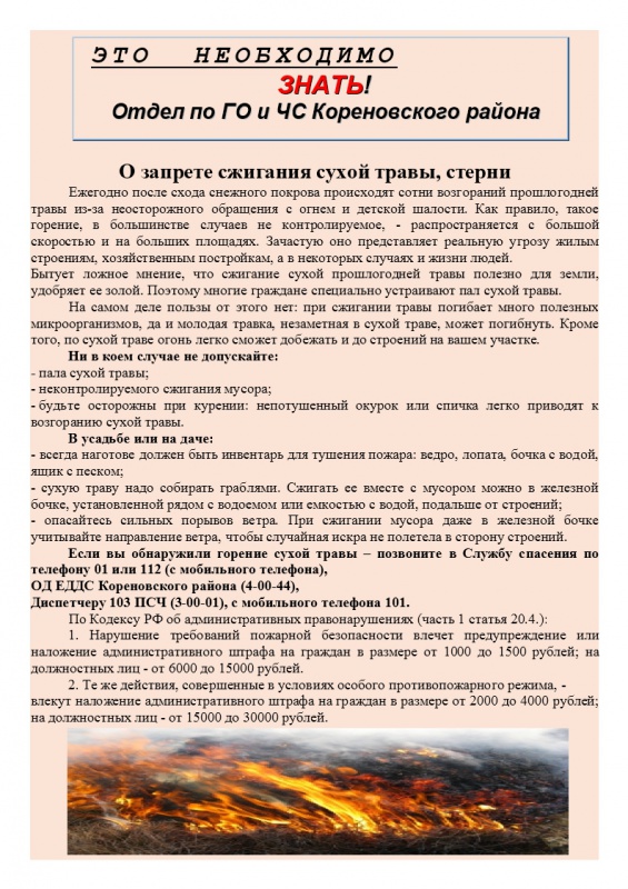 О запрете сжигания сухой травы