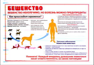 Памятка по бешенству животных!!!!