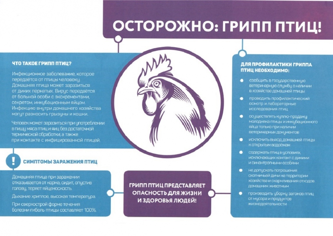 Опасные и заразные болезни животных и птиц....
