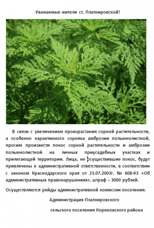 Информация!