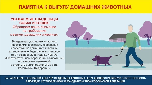 Памятка к выгулу домашних животных....