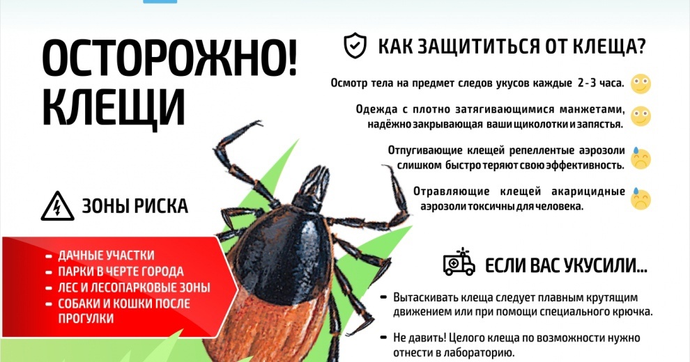 ОСТОРОЖНО КЛЕЩИ!!!