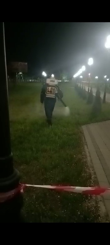 Произведена акарицидная обработка (дезинсекция) парков на территории Платнировского сельского поселения Кореновского района