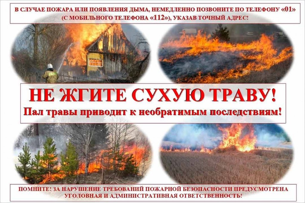 О запрете сжигания сухой травы и мусора